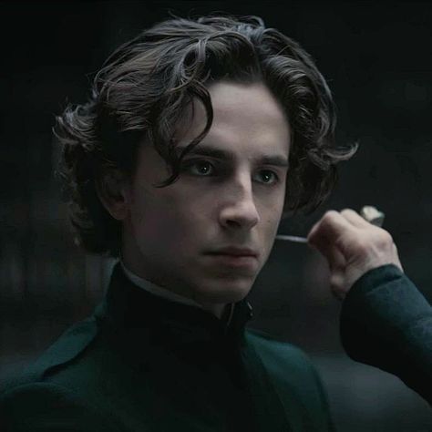 Timothee Chalamet Harry Potter, Timothee Chalamet Regulus Black, Regulus Black Fancast, Regulus Black Timothee Chalamet, Regulus Acturus Black, Slytherin Boys, Paul Atreides, Denis Villeneuve, Timmy T