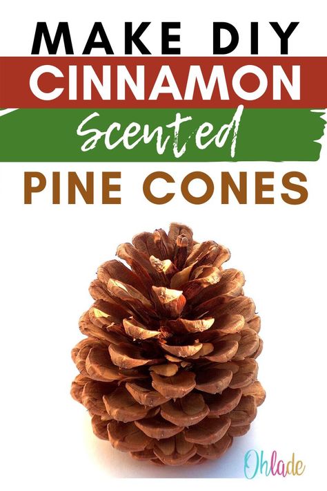 Pinterest Tribes, Scented Pine Cones, Diy Cinnamon, Scented Pinecones, Cones Diy, Cinnamon Bark Essential Oil, Halloween Pumpkin Diy, Pinecone Crafts Christmas, Love Crafts