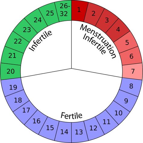 Birth Control for Natural Mamas - Natural Family Planning Calendar based method Natural Birth Control, Birth Control Options, Natural Family Planning, Fertility Awareness, Chances Of Getting Pregnant, Mama Natural, Planning Calendar, Family Planning, Trying To Conceive