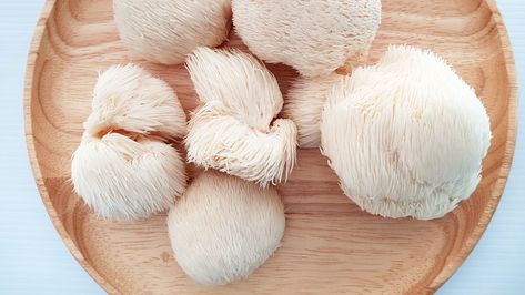 If you have frequented a farmers’ market recently (or live near a bougie grocery store), you might have seen them. They look like pale little tribbles—fluffy and soft and kind of cute—but they are mushrooms, and they have a sinister side (they murder trees). Lions Mane Benefits, Lions Mane Mushroom Recipe, Low Fiber Foods, Mushroom Recipes Pasta, Mushroom Grow Kit, Lions Mane, Lions Mane Mushroom, Lion's Mane, Mushroom Pasta