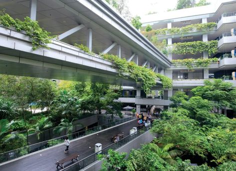 Biophilic Design is King at This Singapore Hospital - gb&d Outdoor Bridges, Hospital Waiting Room, Hospital Architecture, Biophilic Design, Hospital Design, Natural Ventilation, Nature Inspired Design, Sustainable Architecture, Built Environment