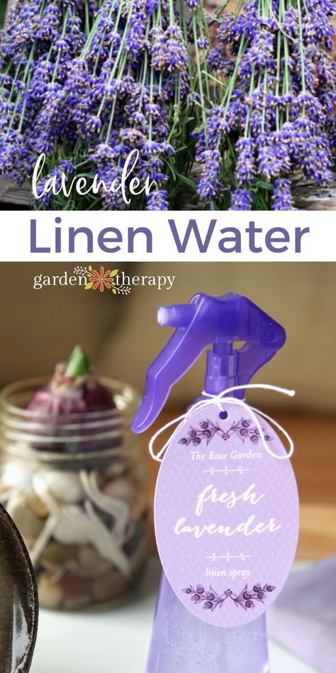 How to Make Lavender Linen Water (DIY Lavender Spray) Ironing Water Diy, Dried Lavender Uses Decor, Fresh Lavender Uses, Lavender Diy, Lavender Pillow Spray, Lavender Linen Spray, Lavender Uses, Diy Lavender, Lavender Crafts