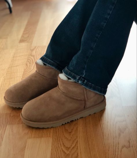 Ugg Mini Chestnut, Ugh Low Boots, Ultra Mini Uggs Styled, Chestnut Ultra Mini Uggs, Ugg Mini Aesthetic, Ugg Ultra Mini Chestnut, Micro Uggs, Low Top Uggs, Ugh Mini