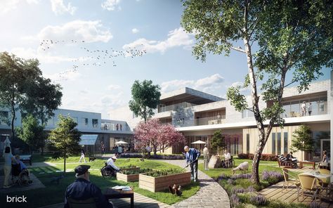 Elderly Home Visualization, NO Brick Pathway, Bjarke Ingels, School Campus, Elderly Home, Student Center, Landscape Concept, Johns Hopkins University, Johns Hopkins, Architecture Firm