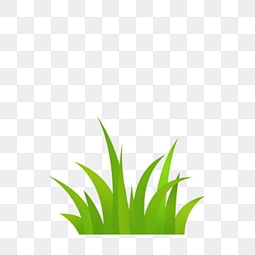 rumput hijau,tanah penggembalaan,rumput,hijau,alam,menanam,bunga-bunga,pemandangan,perlindungan lingkungan,kartun yang digambar tangan Cartoon Grass, Grass Clipart, Grass Pattern, Cat Grass, Grasses Landscaping, Grasses Garden, Spiderman Birthday, Plant Drawing, Spring Holidays