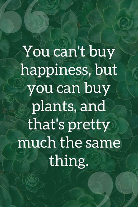 Quotes Gardening, Garden Quotes Signs, Gardening Quotes, Garden Works, Plants Quotes, Garden Quotes, Buy Plants, Flower Quotes, Garden Signs