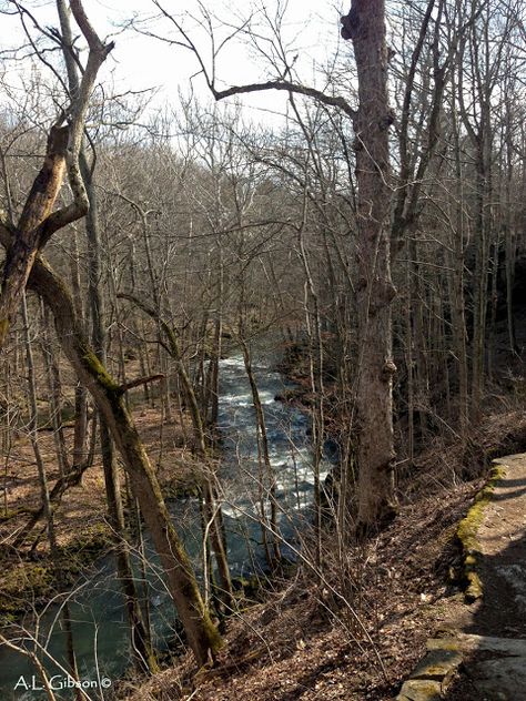 The Natural Treasures of Ohio: Early Bloomers at Clifton Gorge State Nature Preserve Month Of March, Sweet Time, Nature Preserve, Ohio, Nature