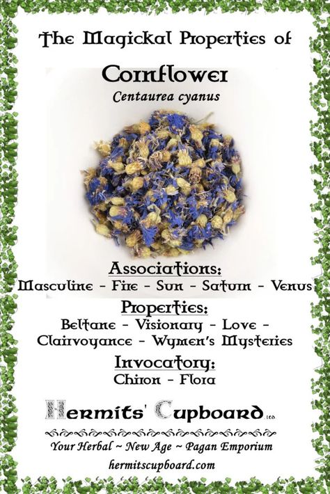 Cornflower Benefits, Coltsfoot Magical Properties, Blue Cornflower Benefits, Blue Salt Witchcraft, Blue Vervain Magical Properties, Tarragon Magical Properties, Hyssop Magical Properties, Sunflower Magical Properties, Cornflower Witchcraft