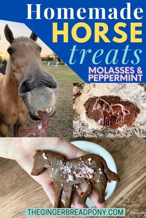 Molasses Horse Treats, Diy Horse Cookies, Peppermint Horse Treats, How To Make Horse Treats, Homemade Horse Treats Recipes, Horse Treats Recipe Easy, Horse Treats Recipe, Horse Stall Decorations, Horse Cookies Recipes