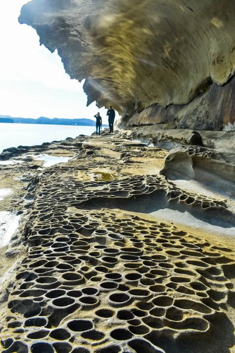 Guide to Gabriola Island - Seek to sea more Columbia Trip, Gabriola Island, Travel Vancouver Island, Vancouver Beach, Travel Vancouver, Travel Wellness, West Coast Canada, Victoria Vancouver Island, Canadian Road Trip