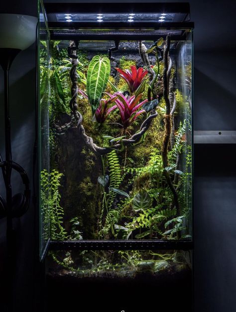 Crested Gecko Paludarium, Ikea Paludarium, Crested Gecko Plants, Bioactive Vivarium Crested Gecko, Vertical Vivarium, Plant Cabinets, Milsbo Greenhouse, Crested Gecko Terrarium, Diy Vivarium