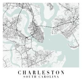 Peter Ogden's Likes Charleston Map, Posters Minimalist, Minimal Poster, Inspirational Artwork, Popular Art, Motivational Art, Inspirational Prints, Charleston South Carolina, Street Map