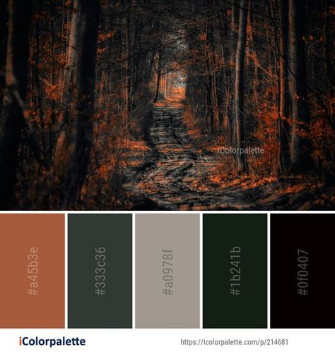 Color Palette Ideas, Colors Inspiration, Dark Color Palette, Forest Color, Color Schemes Colour Palettes, Palette Ideas, Color Palate, Color Palette Design, Color Balance