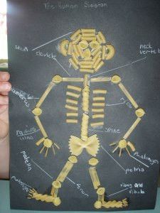 Make kids' science classes extra fun with these Silly Pasta Skeletons. This fun craft will have them learning while they get to do something that they will enjoy. They will have a blast making their own skeleton figures out of fun little noodles. Skeleton Project For School, Skeleton For Kids, Skeleton Project, Skeletal System Activities, Relief Teaching Ideas, Project For School, Skeleton Craft, Adornos Halloween, Fun Activities To Do