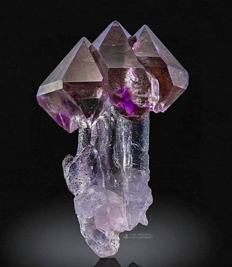 Fantastic Brilliant triple Quartz with Amethyst Scepter from Kakamunurle Mine, Karur District, Tamil Nadu, India. 21x13x9mm.  Photo Copyright ©️ Fine mineral photography Crystal Scepter, Crystal Photography, Minerals Crystals Rocks, Amethyst Stalactite, Rainbow Rocks, Fine Minerals, Pretty Rocks, Amethyst Geode, Mineral Stone