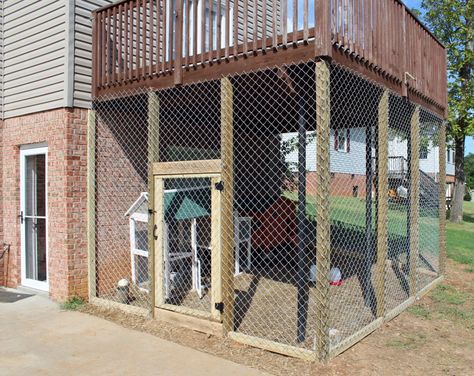 Dog Kennel Under Deck, Outdoor Dog Area, Diy Dog Run, Porch Enclosure, Kennel Ideas Outdoor, Deck Enclosures, Dog Enclosure, Urban Chicken Farming, Dog Boarding Kennels