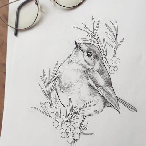 Wren Tattoo Design, Robin Tattoo Design, Floral Bird Tattoo, Robin Bird Drawing, Robin Bird Tattoos, Baroque Tattoo, Robin Drawing, Animal Stencil Art, Robin Tattoo