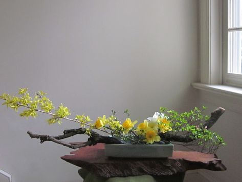 Orchids and Ikebana: Horizontal Arrangement Free Style Floral Designs Arrangements, Flowering Branches, Sogetsu Ikebana, Ikebana Arrangements, Growing Orchids, Christmas Floral Arrangements, Orchid Arrangements, Church Flowers, Table Arrangement