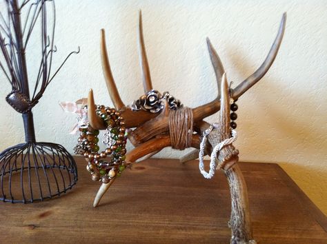 My new jewelry holder. Have to do something with all these antlers my husband brings home! Deer Horn Jewelry Holder, Antler Jewelry Holder Diy, Deer Skull Jewelry Holder, Deer Skull Display Ideas, Deer Antler Jewelry Holder, Diy Deer Antlers, Antler Jewelry Holder, Deer Antler Ideas, Antler Diy