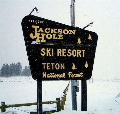 Photo Wyoming Trip, Jackson Hole Skiing, Resort Logo, Ski House, Jackson Hole Wyoming, Travel Brochure, Jackson Hole, Ski Resort, National Forest