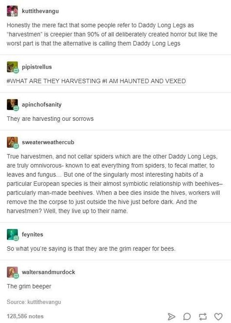 This tale of the "grim reaper for bees": Funny Tumblr Posts, The Grim, The More You Know, What’s Going On, Text Posts, Tumblr Funny, Tumblr Posts, Funny Posts, Writing Prompts