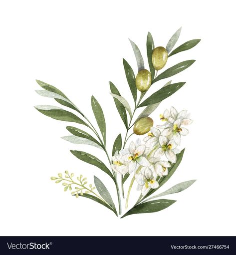 Olive Tattoo, Olive Branch Tattoo, Branch Tattoo, Watercolor Vector, Branch Vector, Olive Branches, Watercolor Bouquet, Flower Branch, Arte Floral