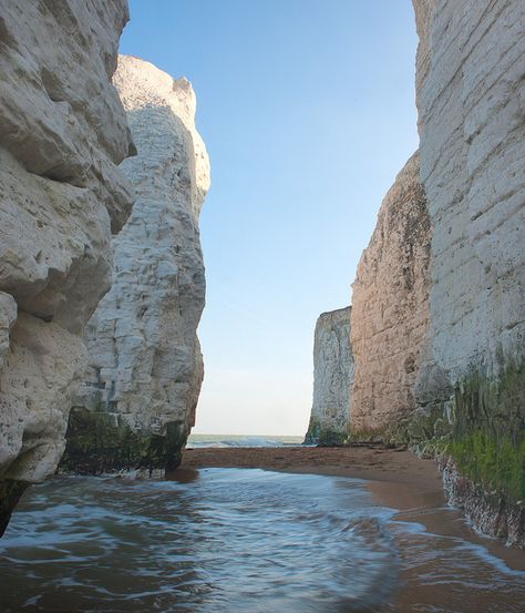 chalk cliffs and stacks at Botany Bay, Kent, England Botany Bay Kent, British Beaches, Kent Coast, Botany Bay, Kent England, England And Scotland, British Isles, Botany, Nature Photos