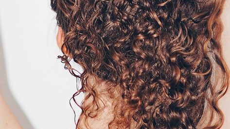 Ouidad Haircut, Curly Styles, High Porosity Hair, Waist Length Hair, Greek Pantheon, Hair Porosity, Curl Styles, Beautiful Curls, Coily Hair