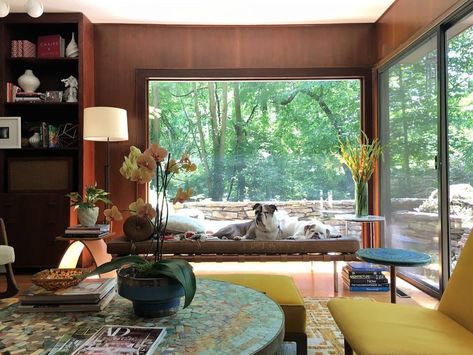 Two 50s Remodels Explained by Interior Designer Emily Knudsen - Mid Century Home Calming Interiors, Mid Century Home, Famous Houses, Century Home, Mid Century Architecture, Elegant Dining Room, Good Design, Mid Century Modern House, The Design Files