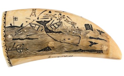 Female Pirate, Scrimshaw Art, Sperm Whale, National Heroes, Pirate Woman, Black Pigment, S Art, Museum Exhibition, Animal Figures