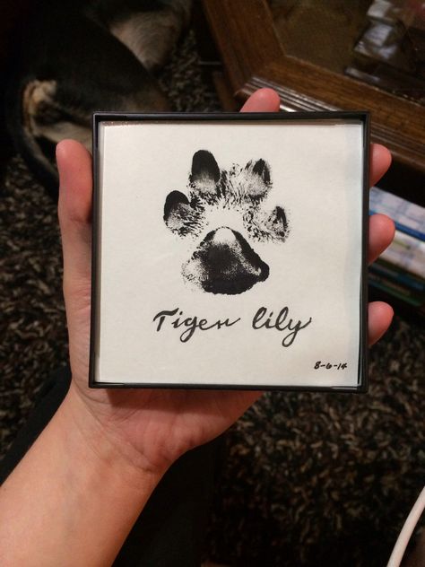 DIY dog Paw print with name in dollar frame #dog #pawprint #frame Family Hand Print Art With Dog, Dog Imprint, Paw Print Canvas Painting, Painting Ideas With Dog Paws, Dog Paw Print Memorial, Dog Paw Print Craft Paint, Dog Frame Ideas, Paw Print Keepsake Diy, Paw Print Canvas