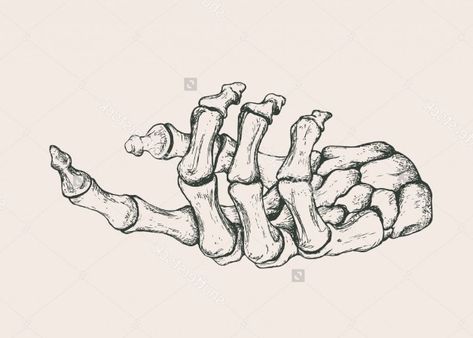 Huesos Hand Skeleton, Skeleton Hand, Skeleton, Bones, Hand Drawn, Human, White