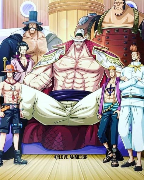 Los piratas de Barba Blanca Barba Blanca One Piece, Haki One Piece, Barba Branca One Piece, White Beard Pirates, Marco The Phoenix, Doflamingo Wallpaper, Edward Newgate, Whitebeard Pirates, Ace One Piece