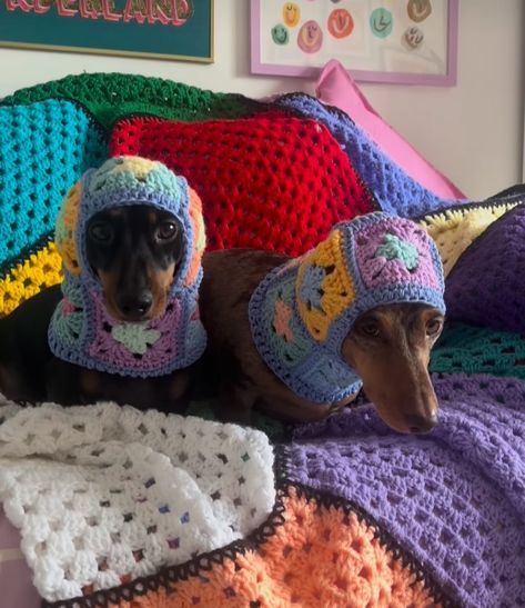 Crochet Project For Dogs, Crochet Dog Balaclava, Crochet Dog Projects, Dog Crochet Ideas, Crochet Dog Patterns Clothes, Crochet Bandana For Dogs, Things To Crochet For Dogs, Dog Crochet Bandana, Dog Crochet Clothes