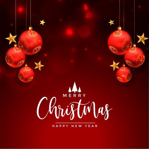 Christmas greeting wishes card with real... | Free Vector #Freepik #freevector #christmas #winter #abstract #celebration Christmas Greeting Design, Season Greetings Card Design, Winter Promotion, Xmas Poster, Christmas Images Hd, Winter Abstract, Xmas Pics, Festival Wishes, Merry Christmas Background