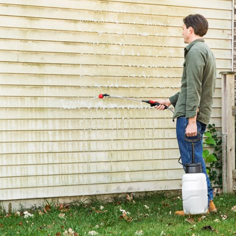 How to Remove Mildew From Siding - This Old House Homemade Toilet Cleaner, Clean Baking Pans, Hardwood Floor Cleaner, Cleaning Painted Walls, Glass Cooktop, Deep Cleaning Tips, Toilet Cleaner, Dirty Dishes, Clean Dishwasher