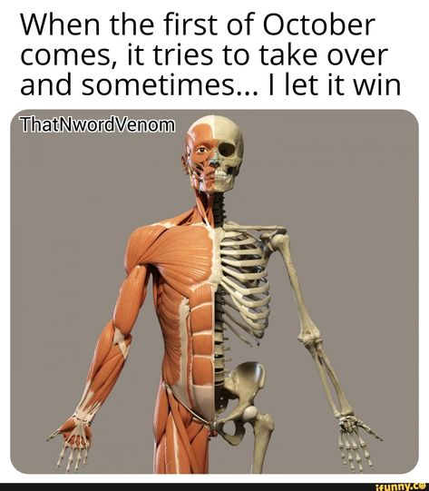 When the first of October comes, it tries to take over and sometimes... I let it win ThatherdVenom a – popular memes on the site iFunny.co #wins #memes #thatniggavenom #thatnwordvenom #dank #dankmeme #dankmemes #spicy #funny #spooky #scary #skeleton #when #first #october #comes #tries #take #sometimes #let #win #thatherdvenom #pic Skeleton Muscles, Skeleton Skin, Anatomy Images, Anatomy Bones, Blue Morpho Butterfly, Muscle Anatomy, Human Skeleton, Morpho Butterfly, Blue Morpho