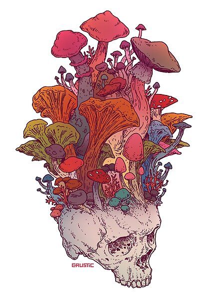 Skull Mushroom, Fungi Art, Mushroom Poster, Skull Sleeve Tattoos, Skull Sleeve, Mushroom Tattoos, Psychadelic Art, Nature Art Prints, Pink Art Print