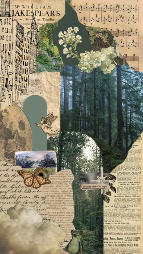 #vintage #scrapbook #nature #forest #forestcore #green #greenaesthetic Forest Ecology, Forest Scrapbook Ideas, Forest Aesthetic Collage, Forest Journal, Forest Collage Wallpaper, Forest Scrapbook, Nature Theme Scrapbook, Nature Scrapbook Ideas, Nature Journal Aesthetic