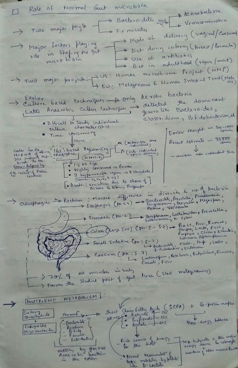 Messy Notes Aesthetic, Notes Messy, Messy Notes, Messy Handwriting, Study Core, Colleges For Psychology, I Need Motivation, Basic Anatomy And Physiology, College Motivation