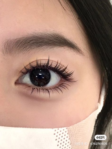 Simple Makeup With Lashes, Kpop Eyelashes, Cute Eyelash Extensions, Korean Lashes, Korean Eyelashes, Manhua Lashes, Eyelashes Styles, Lash Care, Natural Fake Eyelashes