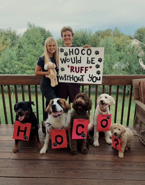 Hoco Proposal Ideas, Best Prom Proposals, Prom Proposal Ideas, Cute Hoco Proposals, Cute Promposals, Prom Posters, Prom Proposals, Cute Homecoming Proposals, Cute Prom Proposals