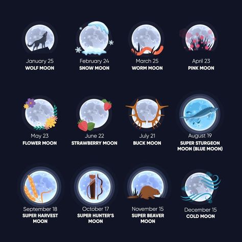 Sturgeon Moon 2024, Super Blue Moon 2024, Super Blue Moon, Sturgeon Moon, Cold Moon, Moon Projects, Weather Unit, Strawberry Moons, 15 December