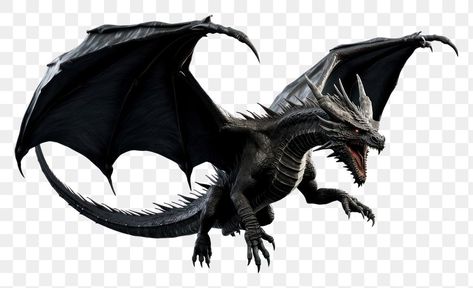 Dragon Black And White, Dragon Dinosaur, Dragon Png, Dragon Black, Flying Dragon, Dragon Fly, Mythical Creature, White Dragon, Black Dragon