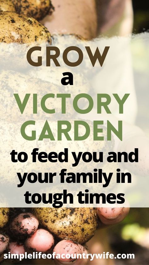 victory garden Victory Garden Ideas, Victory Garden Layout, Victory Garden Plans, Victory Gardens, Life On A Budget, Victory Garden, Garden Food, Family Garden, Cheap Eats