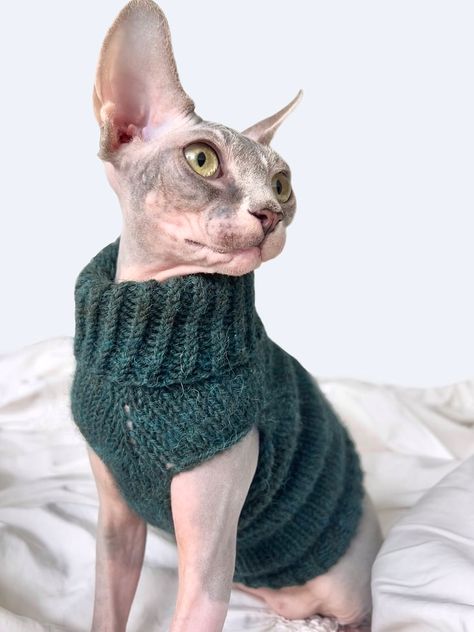 Cat sweater knitting pattern