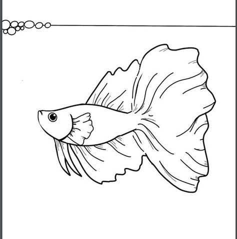 Instant Download Coloring Page - Betta Fish - 4 page PDF Coloring pages #coloringpages Coloring page #coloringpage Adult Coloring pages #adultcoloringpages Coloring pages adult #coloringpagesadult Coloring books #coloringbooks 1.784 Beta Fish Doodle, Betta Fish Drawing Easy, Beta Fish Drawing Simple, Betta Fish Illustration, Fish Coloring Pages Free Printable, Betta Fish Drawing, Beta Fish Drawing, Drawing Of Fish, Under The Sea Coloring Pages