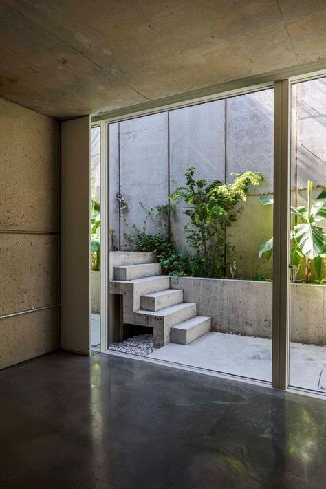 floor to ceiling glass within a lightwell in London basement with plants outside and concrete stairs Glass Link Between Buildings, Basement Appartement, Basement Terrace, Basement Courtyard, English Courtyard, London Extension, Villa Marrakech, Upside Down House, Stairs Window