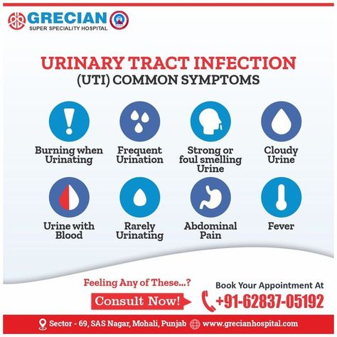 ✓ Burning when Urinating ✓ Frequent Urination ✓ Strong or foul-smelling Urine ✓ Cloudy Urine ✓ Urine with Blood ✓ Rarely Urinating ✓ Abdominal Pain ✓ Fever Feeling Any of These? Make an Appointment, Call +91 62837 05192 #Grecian #GrecianMohali #GrecianHospital #UTI #UrinaryTractInfection #FrequentUrination #Fever #AbdominalPain #CloudyUrine #FrequentUrination #BurningUrinating Cloudy Urine, Frequent Urination, Make An Appointment, Urinary Tract, Abdominal Pain, Feelings, Quick Saves