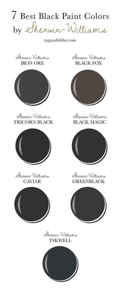 Black Fox Exterior Trim, Sw Black Fox Exterior, Black With Green Undertone Paint, Black Fox House Exterior, Black Paint With Green Undertones, Sw Black Magic Exterior, Tricorn Black Trim Exterior, Black Magic Sw Paint, Sw Tricorn Black Exterior